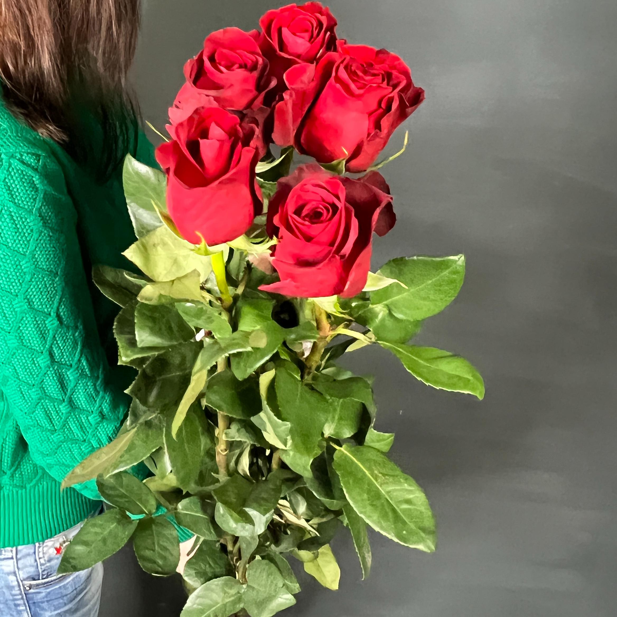 Роза Фридом (Эквадор) (Премиум) с доставкой в Новороссийске в интернет  магазине цветов Роз Новоросс