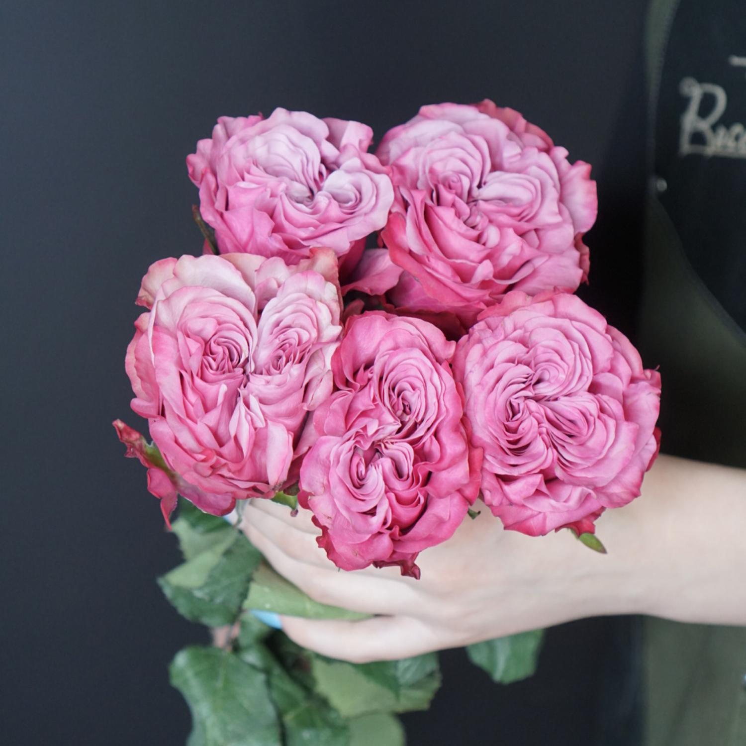Роза "Кантри Блюз" с доставкой в Новороссийске в интернет магазине цветов Роз Новоросс
