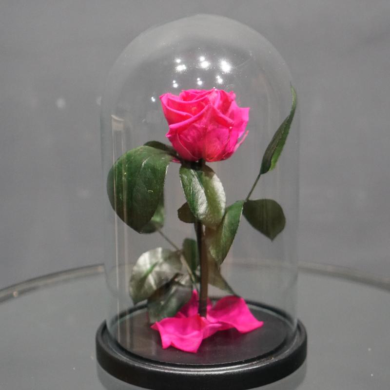Роза в колбе "Фуксия" (d - 6 см)