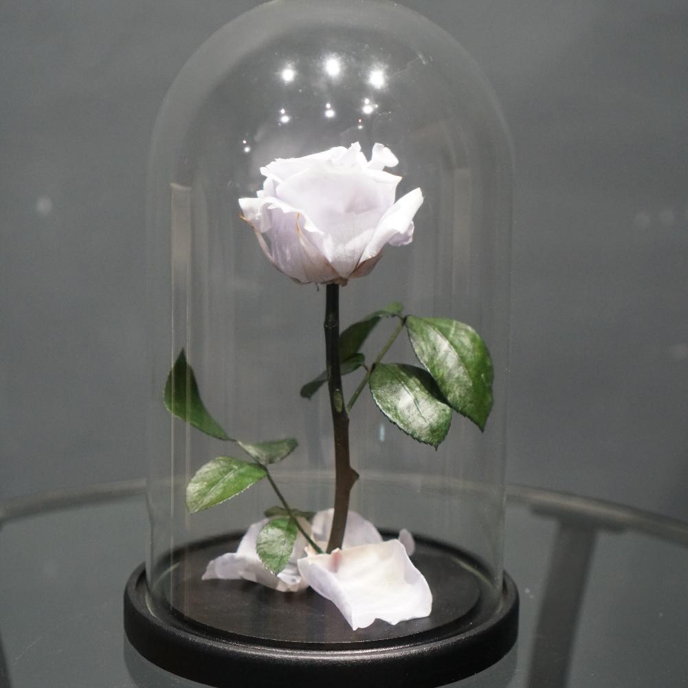 Роза в колбе "Белая" (d - 6 см)