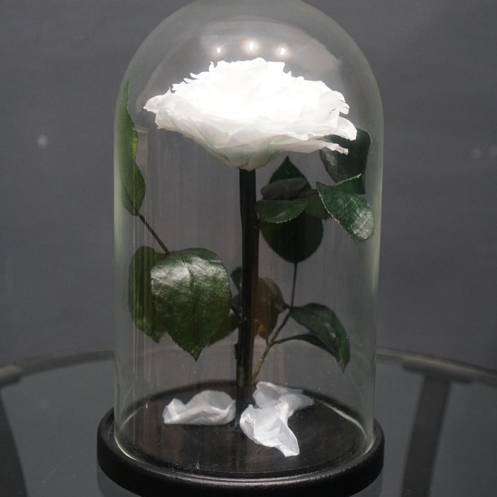 Роза в колбе "Белая" (d - 12 см)
