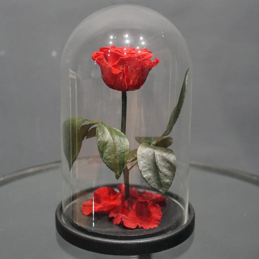Роза в колбе "Красная" (d - 6 см)