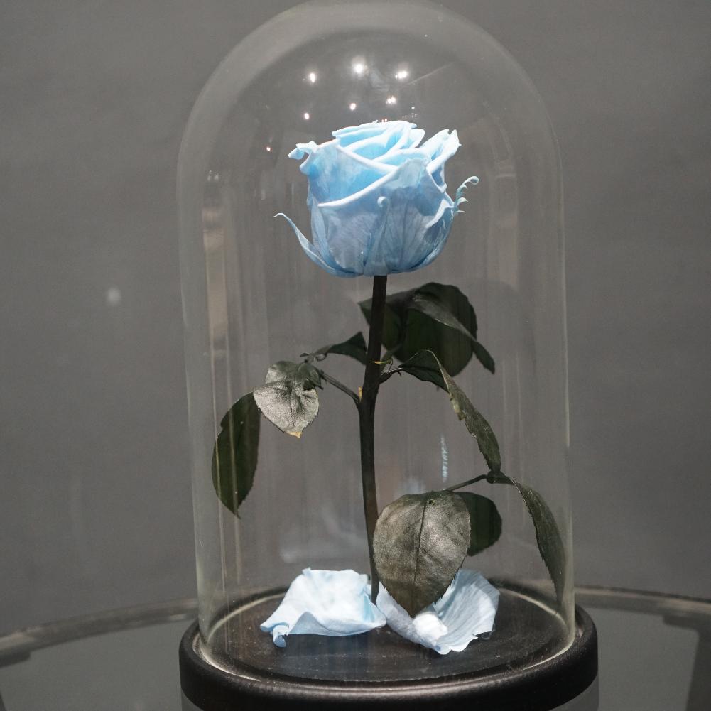 Роза в колбе "Голубая" (d - 6 см)