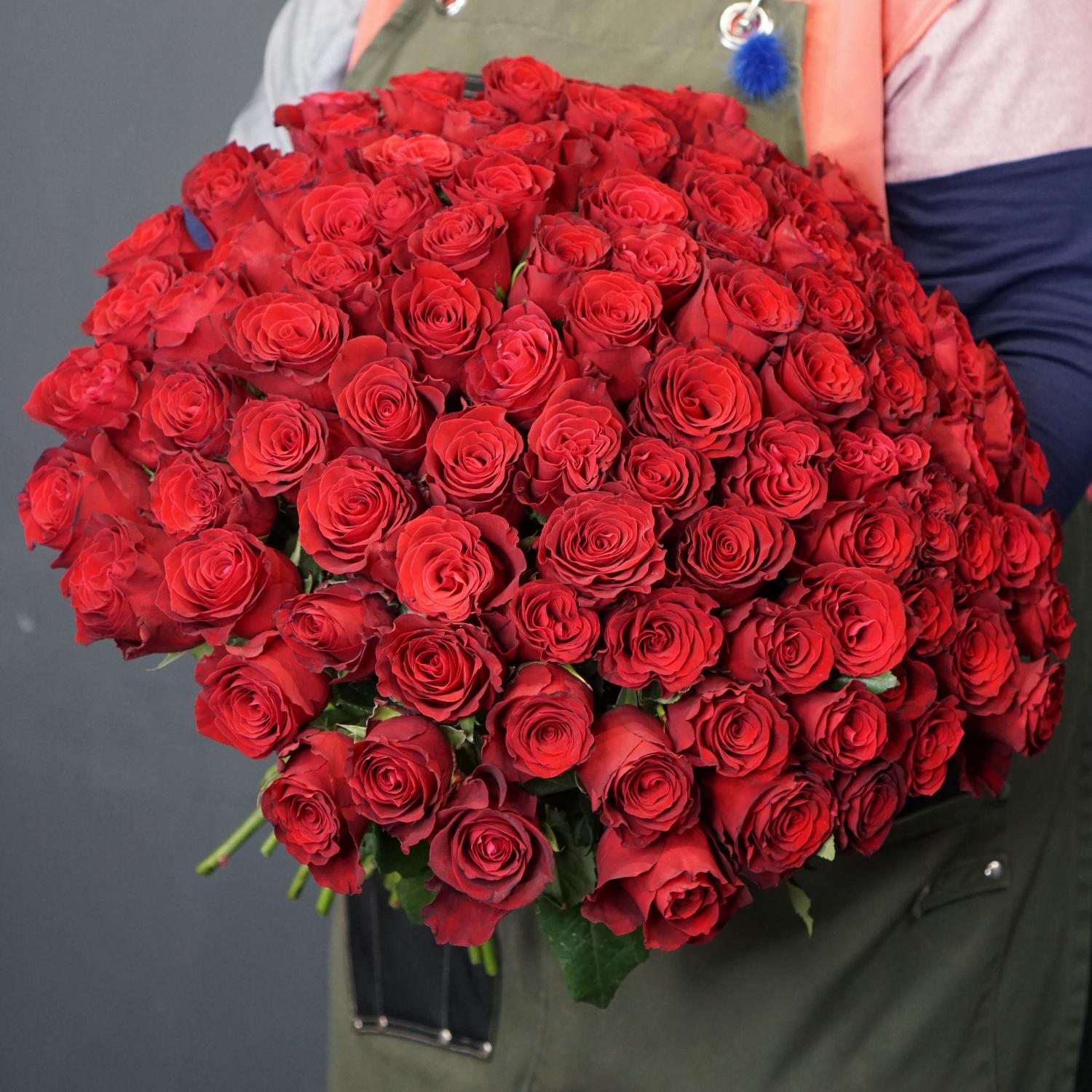 101 роза 40 см в руках фото