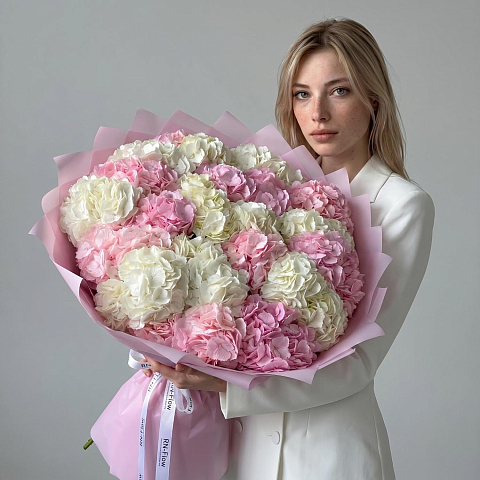 21 Гортензия Микс ( Белая, Нежно-Розовая).