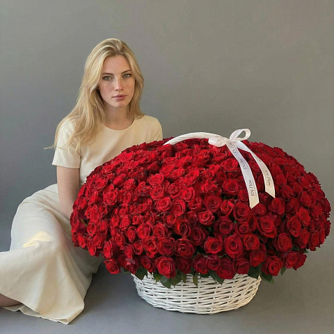 501 роза 40см в корзине.