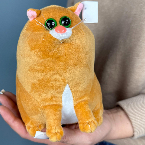 Котошарик рыжий мал